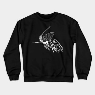 Fly Fishing Drawing Fish Angler Fisher Gifts Crewneck Sweatshirt